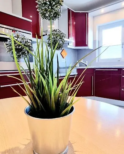 Antiquarius 度假居